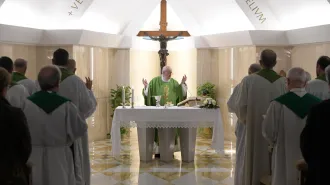 Papa Francesco: "Portare la croce e accettare le umiliazioni: è la misura cristiana"