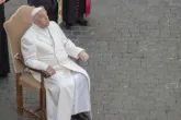 Il Papa: “Vogliano porre sotto la protezione di Maria le famiglie” 