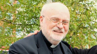 Arborelius vescovo di Stoccolma: ogni anno 100 svedesi diventano cattolici 