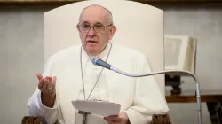 Papa Francesco durante una udienza generale nella Biblioteca del Palazzo Apostolico / Vatican Media / ACI Group