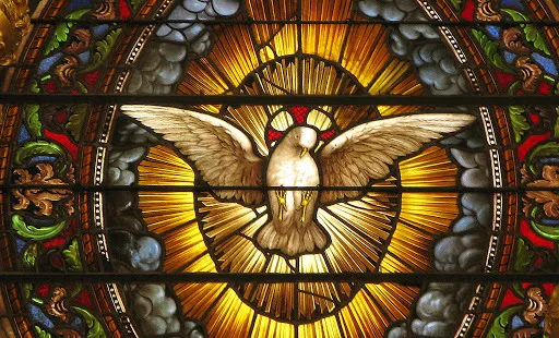 Lo Spirito Santo sotto forma di colomba |  | pubblico dominio