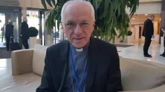 Belgio, il Cardinale de Kesel: "La secolarizzazione è una sfida" 