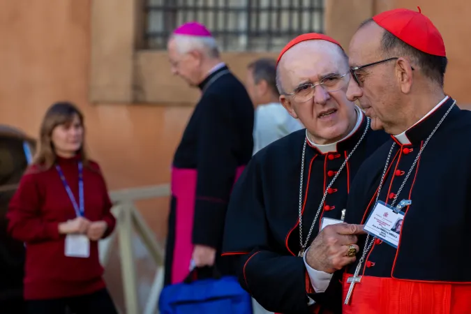 I Cardinali spagnoli Osoro Sierra e Omella.  |  | Daniel Ibanez CNA