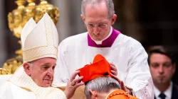 Papa Francesco durante un concistoro - Daniel Ibanez CNA