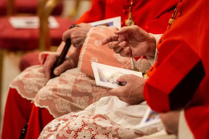  | I Cardinali di Santa Romana Chiesa - Daniel Ibanez CNA