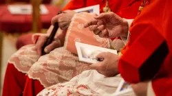 I Cardinali di Santa Romana Chiesa - Daniel Ibanez CNA