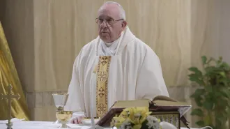 Papa Francesco: "La Chiesa andrà avanti con evangelizzatori gioiosi"