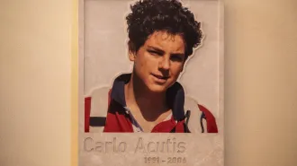 Carlo Acutis, una reliquia in Argentina 