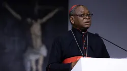 Il Cardinale John Olorunfemi Onaiyekan - CNA