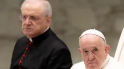 Papa Francesco durante una udienza / Daniel Ibanez / ACI Group