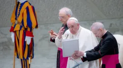 Papa Francesco al termine di una udienza generale / Daniel Ibanez / ACI Group