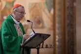 Lourdes. Il Cardinale Parolin ad EWTN: "Giornalista, ruolo importante per la pace"
