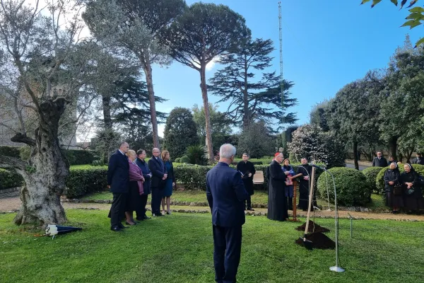 La piantumazione dell'albero di melo generato da quello innestato da Józef Ulma nei Giardini Vaticani, 6 marzo 2024 / AG / ACI Group