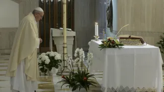Papa Francesco: “Il potere del pastore è il servizio”. E prega per insegnanti e studenti