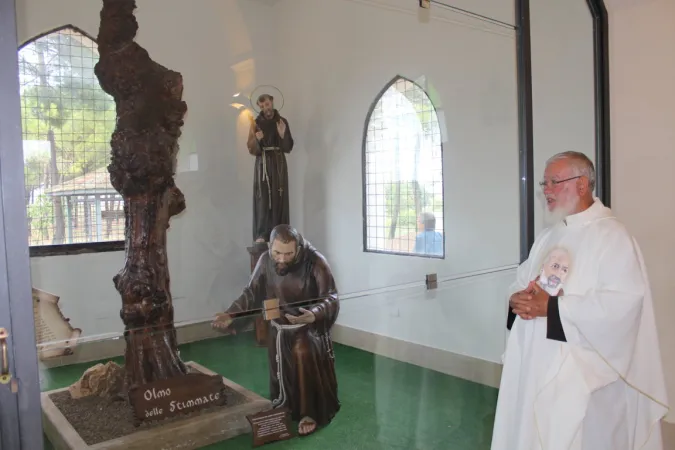 L'olmo di Padre Pio  |  | Cappuccini di Foggia 