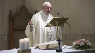 Il Papa: "Il pastore pasce con amore e umiltà"