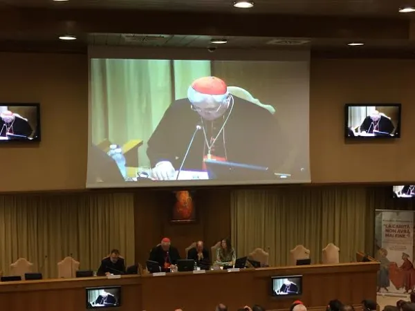 Il cardinale Mueller alla conferenza sulla Deus Caritas est |  | AA