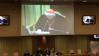 L'amore e la verità creano un mondo nuovo: il cardinale Müller spiega la Deus caritas est
