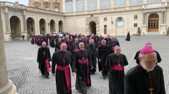 I vescovi tedeschi in Curia, non rinunciano al loro metodo sinodale 