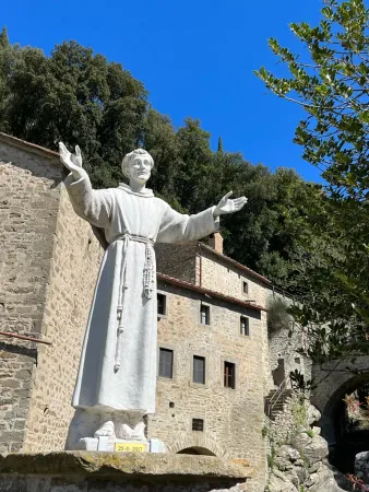 San Francesco a Cortona |  | VG / ACI stampa