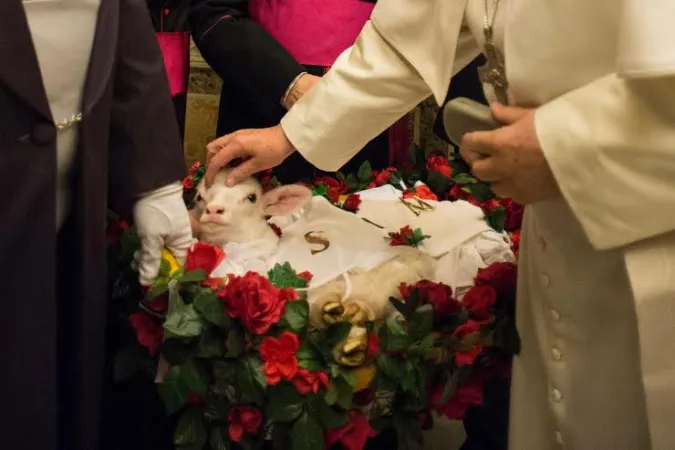 Il Papa benedici gli agnelli |  | Osservatore Romano