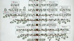 L'albero genealogico del metropolita Andryi Sheptytsky / https://day.kyiv.ua/ru/news/240619-naydeny-genealogicheskie-tablicy-semi-sheptickih-kotorye-schitalis-unichtozhennymi