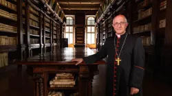 Il Cardinale Fernando Filoni, prefetto della Congregazione per l'Evangelizzazione dei Popoli, nella biblioteca di Propaganda Fide / Daniel Ibanez / ACI Group
