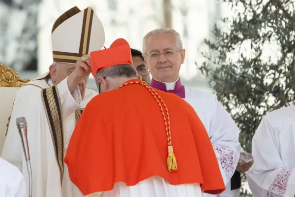 Papa Francesco durante il concistoro del 30 settembre - Daniel Ibanez CNA