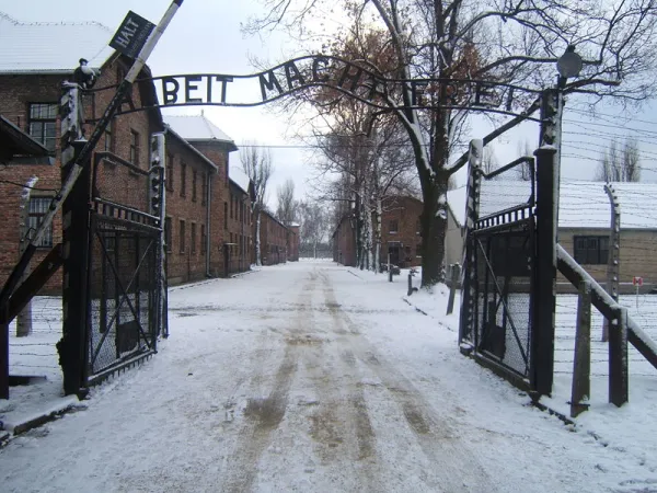 Auschwitz |  | Wikipedia