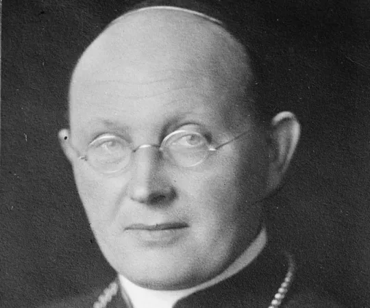 Il Cardinale Karl Joseph Schulte |  | pubblico dominio 
