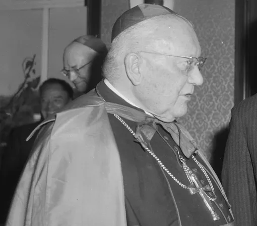 Il Cardinale Maurice Feltain |  | Nationaal Archief NL