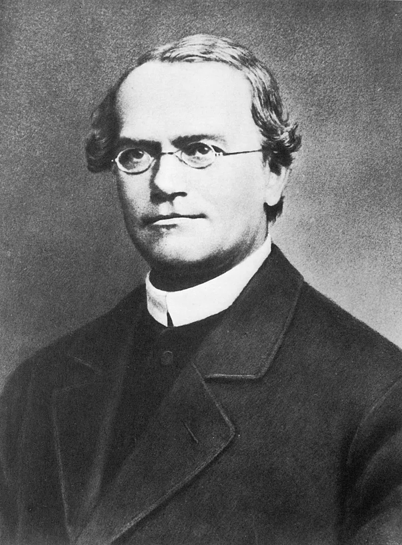 Gregor Mendel, γενετική και Άγιος Αυγουστίνος