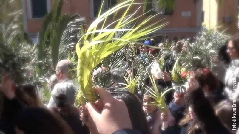 La processione della Domenica delle palme |  | pd