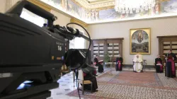Papa Francesco durante una udienza del mercoledì nella Biblioteca del Palazzo Apostolico / Vatican Media / ACI Group