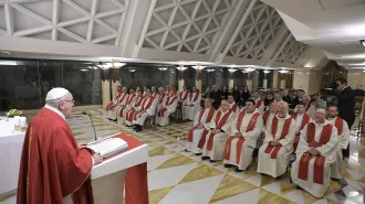 Papa Francesco: “Nella Chiesa bisogna servire, non arrampicarsi”