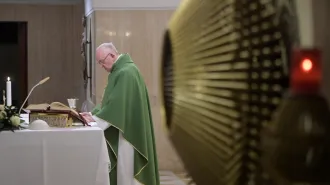 Papa Francesco: "Quando la Parola di Dio tocca il cuore c'è festa"