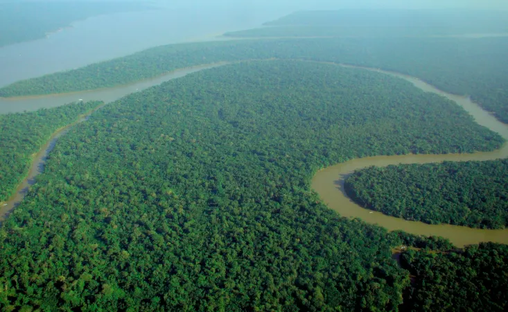 Veduta Aerea della Foresta Amazzonica | Wikimedia Commons