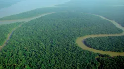 Veduta Aerea della Foresta Amazzonica / Wikimedia Commons