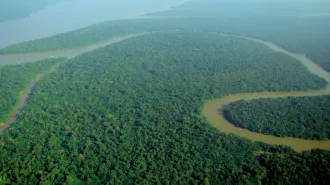 Amazzonia, un pezzo di foresta intitolato a Papa Francesco