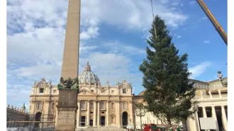 Per il Natale in Piazza San Pietro, abete dalla Baviera e presepe trentino
