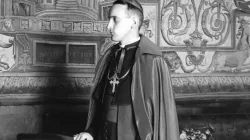 Una immagine del Cardinale Stepinac / pd 
