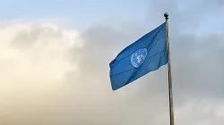Bandiera delle Nazioni Unite / da Flickr