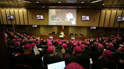 Papa Francesco con i vescovi italiani durante l'ultima assemblea generale  / Daniel Ibanez / ACI Group