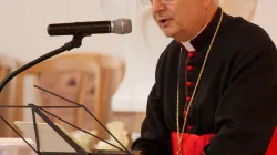 Il Cardinale Mauro Piacenza / @CC
