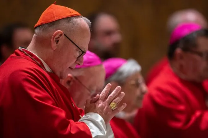Cardinal Timothy Dolan of New York |  |  Daniel Ibanez/Aci Group