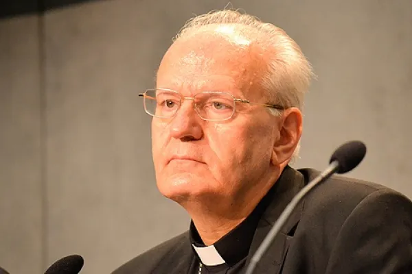 Roma, Sala Stampa Vaticana, 26 Giugno 2014 - il Cardinal Petr Erdo, Arcivescovo di Esztergom - Budapest / Daniel Ibañez