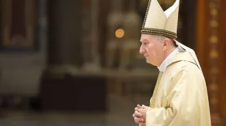 Cardinale Parolin, “ecco quali sono le credenziali degli ambasciatori del Papa” 