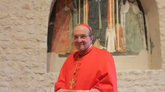 Il Cardinale Petrocchi: "Dove c'è Popolo il dramma è condiviso"
