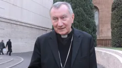 Il Cardinale Pietro Parolin, Segretario di Stato vaticano / Marco Mancini / ACI Stampa