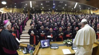 Dalle diocesi; i vescovi preparano l' Assemblea generale di maggio con il Papa 